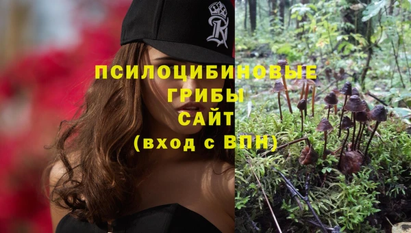 гашик Аркадак